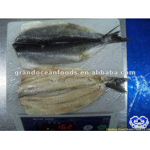 seafood frozen atlantic herring fillet IQF